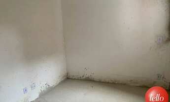 Imagem 3: São Paulo - Apartamento Padrão - Vila Matilde