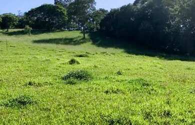 Imagem 7: VC - Vendo terreno para veraneio