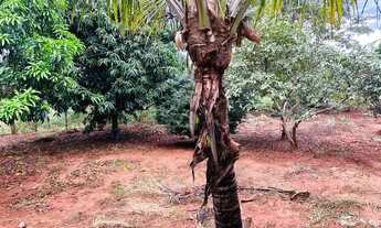 Imagem 4: Chácara próximo a Anápolis 2.500 metros