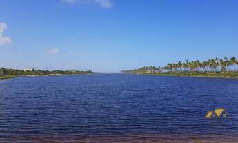 Imagem 5: Lotes Reserva Sauípe - Costa do Sauípe - Linha Verde