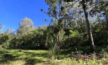 Imagem 4: Chácara com cachoeiras em São Francisco de Paula RS