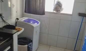 Imagem 4: Araçatuba - Apartamento - Morada dos Nobres