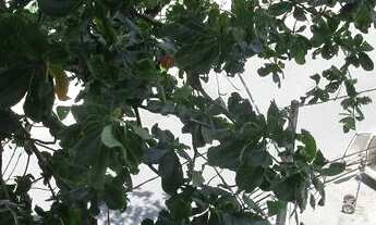 Imagem 4: Candeias - 02 Qtos / 01 Suíte - Piscina - 01 Vaga de garagem coberta