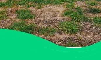 Imagem 2: Lote/Terreno para venda tem 500 metros quadrados em Centro - Atibaia - SP