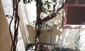 Imagem 6: São Paulo - Casa Comercial - Ipiranga