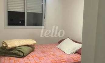 Imagem 5: São Paulo - Apartamento Padrão - Brás