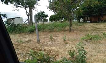 Imagem 5: Vendo fazenda Batis MG 320 hequitarias