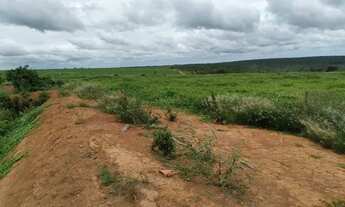 Imagem 3: Vendo fazenda Batis MG 320 hequitarias