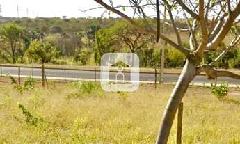 Imagem 4: Terrreno para venda no bairro Jardim Sul