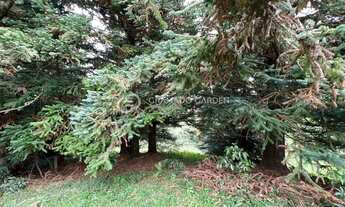 Imagem 2: TERRENO COM VISTA PERENE PARA O VALE