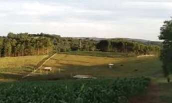 Imagem 4: VENDO UM LINDO SITIO - Direto com proprietário (meu pai