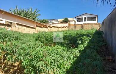 Imagem 2: Excelente oportunidade Lote Jardim Ana Paula Rua Erika 10 x 30 = 300 mts