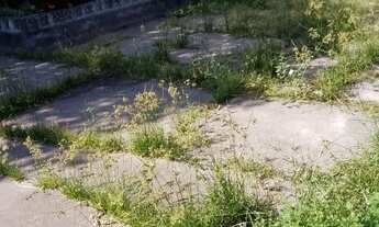 Imagem 2: Terreno para venda no Parque das Laranjeiras - Manaus - Amazonas