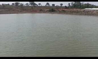 Imagem: Oportunidade! Vende-se uma excelente fazenda