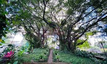 Imagem 7: Casa Forte 4 Quartos 1 Suíte 2 Vagas Cobertas e Soltas na 17 de Agosto