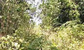 Imagem 7: /Lote em Açutuba com 4000 m2