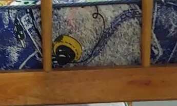 Imagem 7: Casa temporada no Balneário Currais. MATINHOS