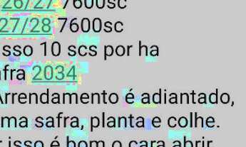 Imagem 6: Fazenda arrendamento 1.200hec em Rosário do oeste MT