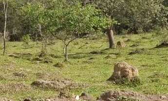 Imagem 5: Chácaras em Rio Manso/MG de 1.000m²