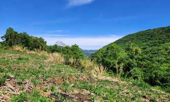 Imagem 7: Sítio / Chácara para Venda em Nova Petrópolis, Fazenda Pirajá