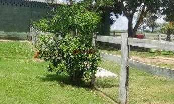Imagem 6: Fazenda 71 alqueires em Barro Ato Goiás