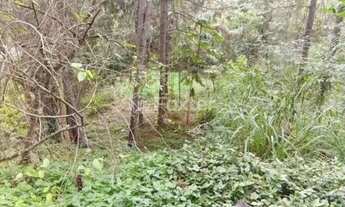 Imagem 3: Terreno em Condomínio à venda Rua Itapemirim, Pitas - Cotia