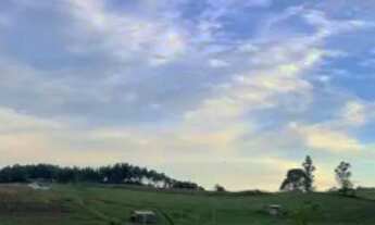 Imagem 5: VENDO UM LINDO SITIO - Direto com proprietário (meu pai