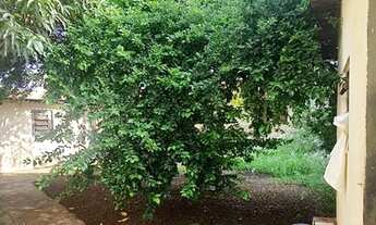 Imagem 4: Vendo casas em alvenaria- Vila Nova-Maringá