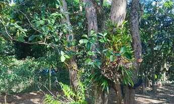 Imagem 5: Chácara em Piedade Piraporão