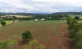 Imagem 5: Chácara 4,5 alqueires (21,69 hectares) Pontalina - Go