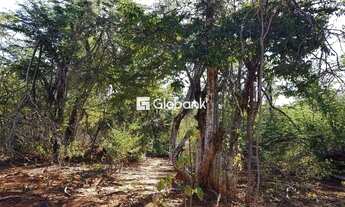 Imagem: Chácara em Montes Claros, no bairro Todos