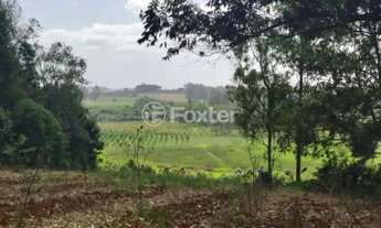 Imagem 5: Fazenda / Sítio / Chácara à venda Rodovia TF-10, Passo Fundo - Triunfo