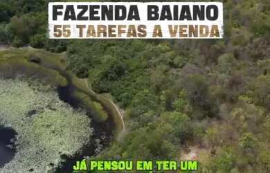 Imagem: VENDO FAZENDA NA CHAPADA DIAMANTINA