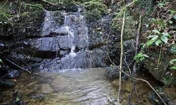 Imagem 2: Chácara Boa Vista Campo Largo 52.500m²,lavoura, cachoeira, córrego