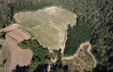 Imagem 5: Chácara Boa Vista Campo Largo 52.500m²,lavoura, cachoeira, córrego