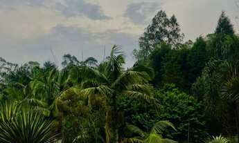 Imagem 5: SÍTIO A VENDA Chácara com venda por R$900.000