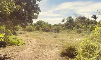 Imagem 7: Terreno à venda, 4 vagas, Bosque de Geribá - Armação dos Búzios/RJ