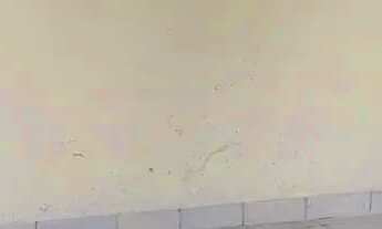 Imagem: Imóvel para venda com 120 metros quadrados