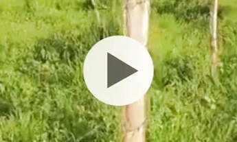 Imagem: Fazenda próximo a Montes Claros