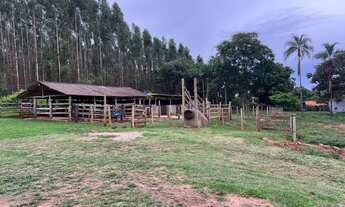 Imagem 2: Vendo sítio dos sonhos!!!