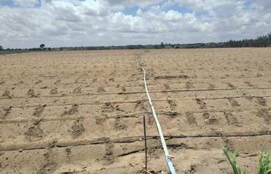 Imagem: Terreno de 27 tarefas (81.796 m²) no povoado