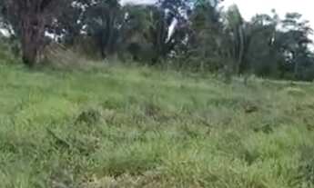 Imagem 3: Vendo uma excelente chácara de 20milm2