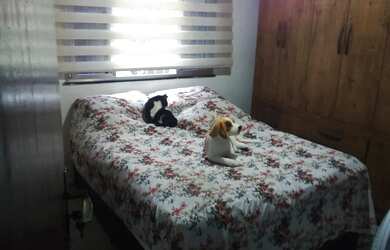 Imagem 7: Imóvel para venda possui 200 metros quadrados com 3 quartos em Jardim Sulacap - Rio de Jan