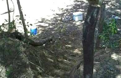 Imagem 2: Chácara 5 mil metros as margens do Ribeirão