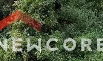 Imagem: Lote em rua dos Pinheiros - Alpes Verdes