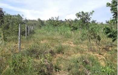 Imagem 4: Jaboticatubas 1.500 metros muita agua * WhtsAPP Guilherme