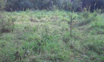 Imagem 7: Chácara em Baldim de 21mil m² com Rio nos fundos, WhTSApp * Guilherme