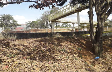 Imagem 3: Lote 17,00 Mts frente,lado cima da rua,asf.,esg.,água,luz, B.Jd.Paulista/Paquetá 48.900