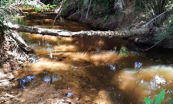 Imagem 2: Vendo Excelente fazenda Em Nazaré das farinha