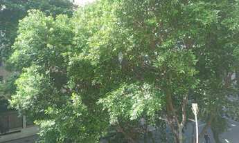 Imagem 4: Apartamento na Rua Figueiredo Magalhães